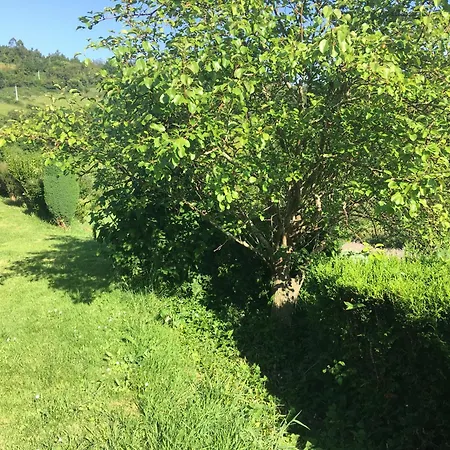 La Del Abuelo En La Aldea Cerca Del Mar * Santa Marta de Ortigueira