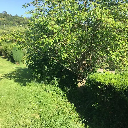 La Del Abuelo En La Aldea Cerca Del Mar * Santa Marta de Ortigueira