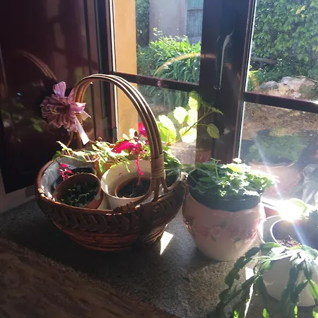 Horská chata La Del Abuelo En La Aldea Cerca Del Mar Santa Marta de Ortigueira