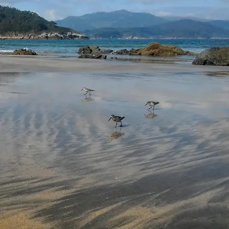 La Del Abuelo En La Aldea Cerca Del Mar